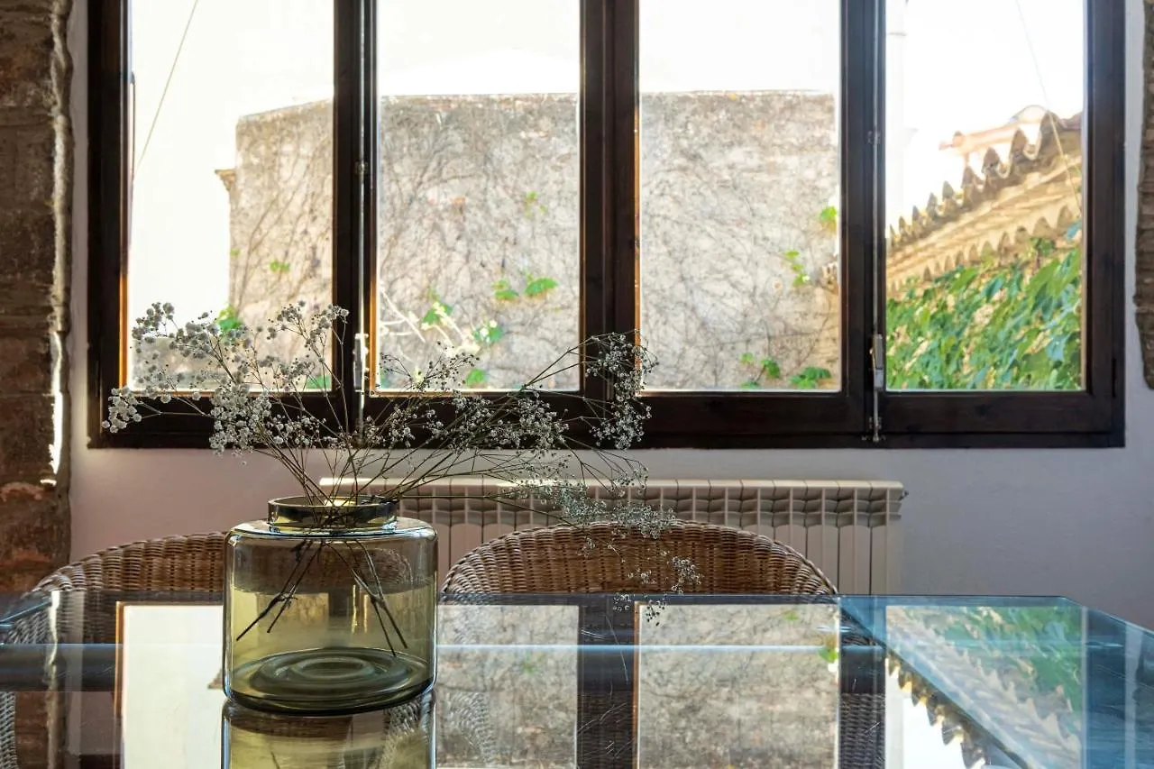 Experience Call Jueu .Cundaro Apartment 2.2. Gerona